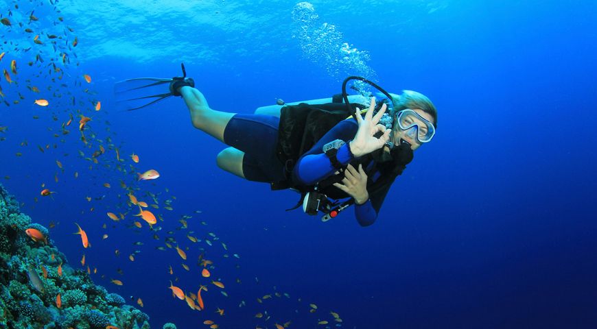 Diving in Sri Lanka