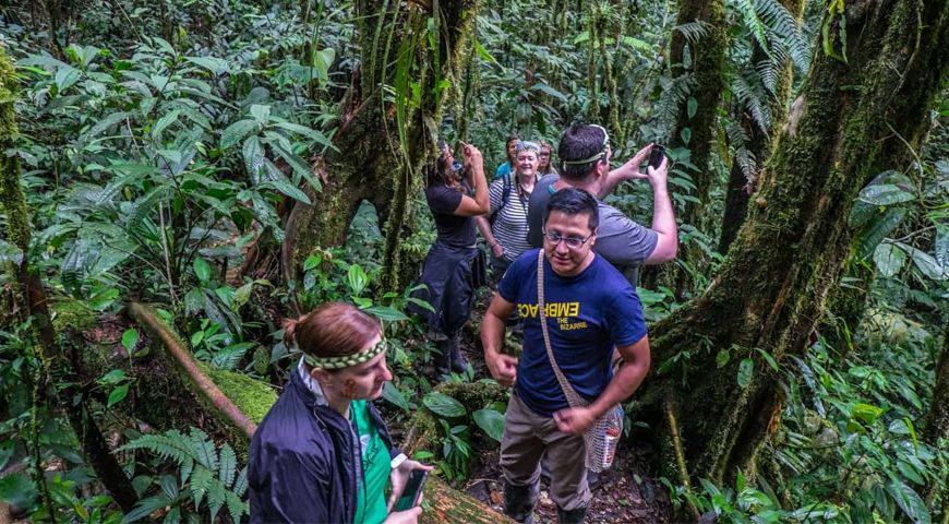 Rain Forest Trails in Sri Lanka