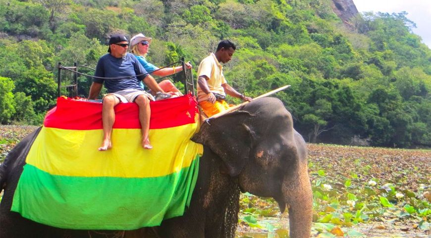 Elephant Rides in Sri Lanka