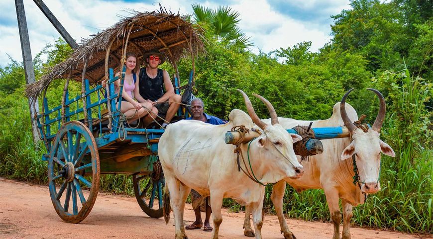 Bullock Cart Ridding